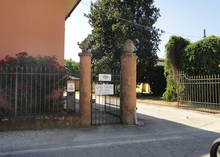 Quo Vadis Qui Vieni روفيغو