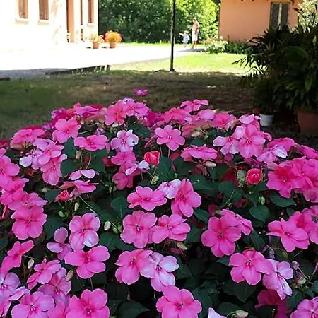 Bed and Breakfast Quo Vadis Qui Vieni Ροβίγκο