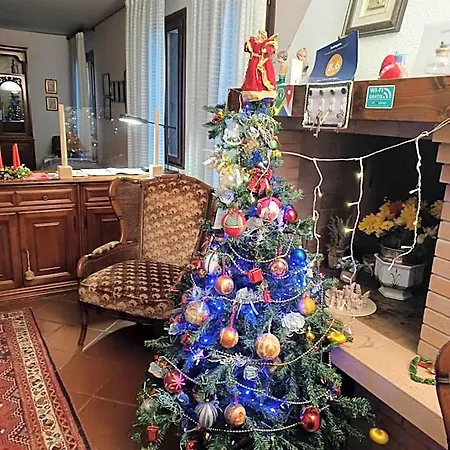 Quo Vadis Qui Vieni Ροβίγκο