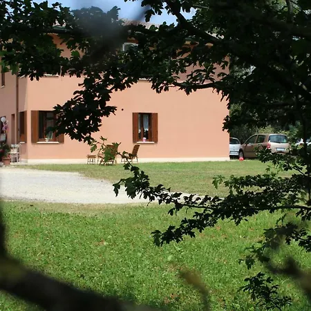 Quo Vadis Qui Vieni