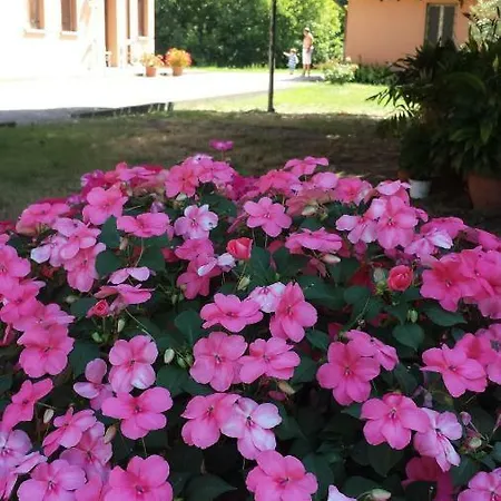 Quo Vadis Qui Vieni Bed & Breakfast *