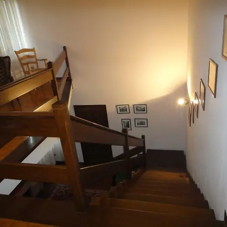 Quo Vadis Qui Vieni * Rovigo